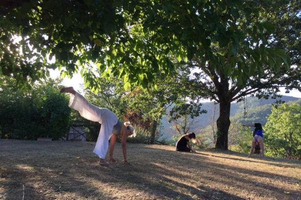 About Hatha Yoga About Hatha Yoga