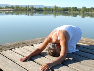 About Hatha Yoga About Hatha Yoga